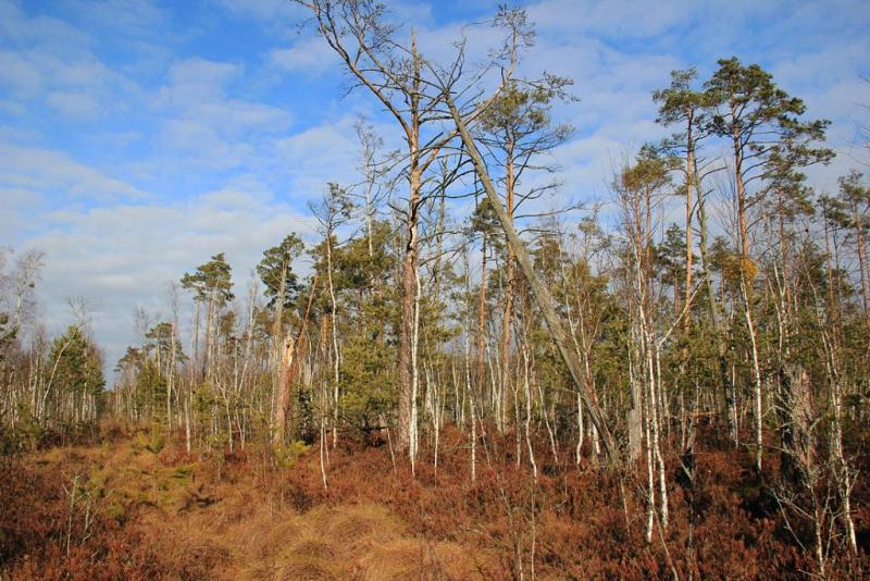 tyhjddfsss.thumb.jpg.539d80b70761290ecea