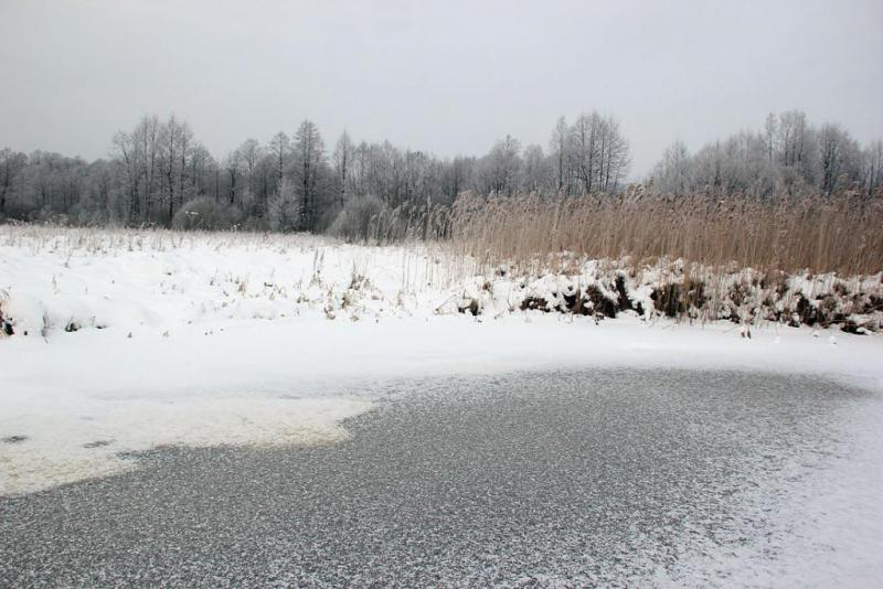 tyjdrtghsrtryh.thumb.jpg.021a31ffa149583