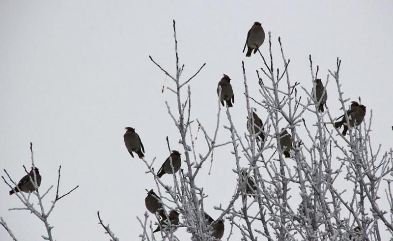 u67ujtrhgree.thumb.jpg.44db986233f40ea3b