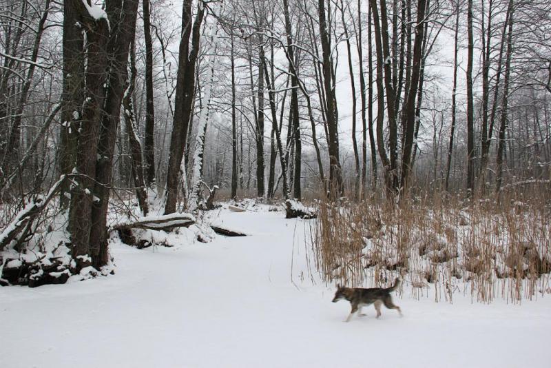 uihtygretgtt.thumb.jpg.afe197355f7af1fc8