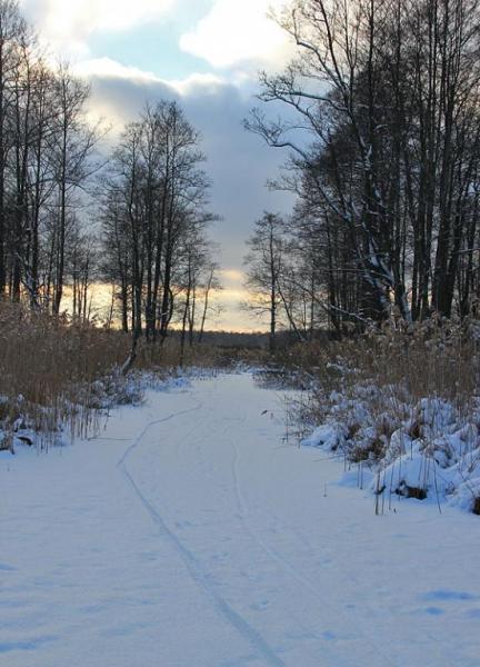 uikhddd.thumb.jpg.e3117f7d8b1d08b7c23942