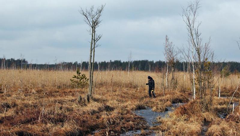 uikmhdf.thumb.jpg.7678a2f7dbf0d79a6e1578