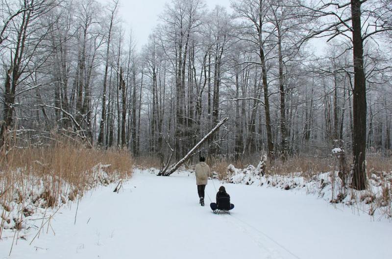 uikrgaykiu.thumb.jpg.54d3e4139047b0a0d84