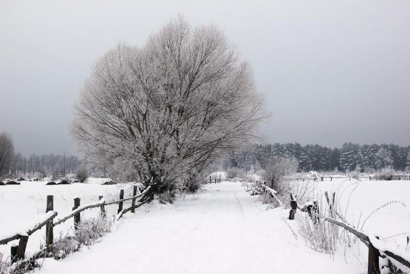 uiktrhdrtyt.thumb.jpg.2cd5e0045d4c174508