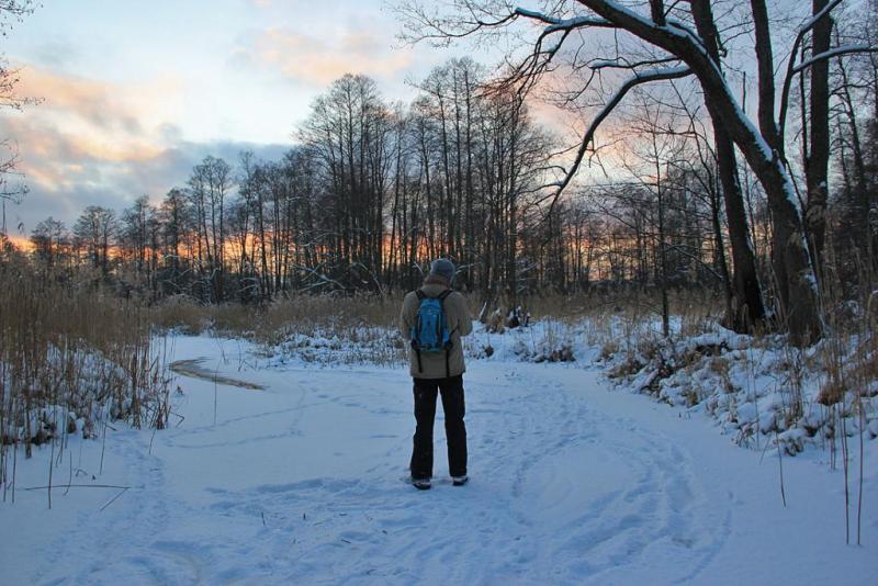 ujygtrrrrrr.thumb.jpg.8712ac6ebd5158d0a7