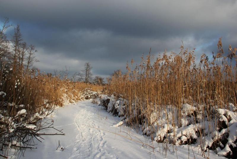 ukygdfsfd.thumb.jpg.e6531a000007daae8866