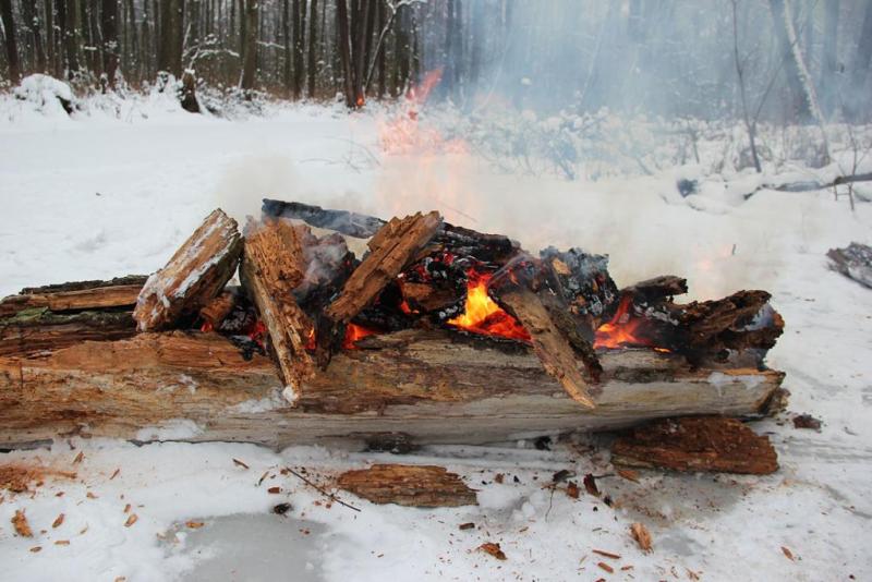 utyjtrertgd.thumb.jpg.ec3a921cb0e7d95e68