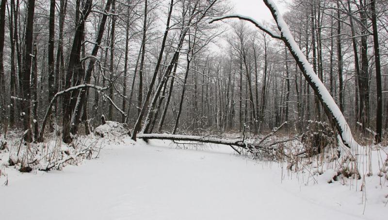 uymgbfcfgbg.thumb.jpg.5b1eb46109d40e3749