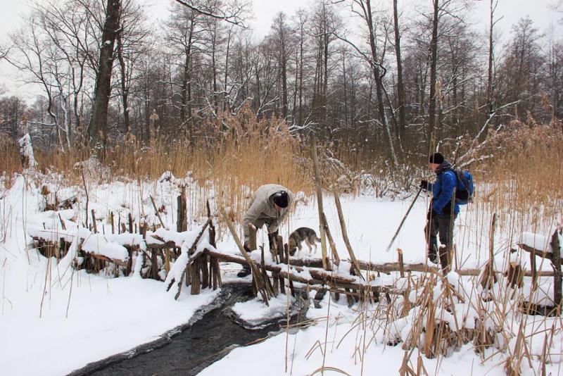 y45serfeu.thumb.jpg.e5092bc56f1b16a2da1a