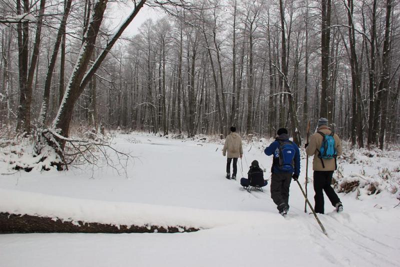 yhjtrgsdxsccv.thumb.jpg.5752c32c81ee4924