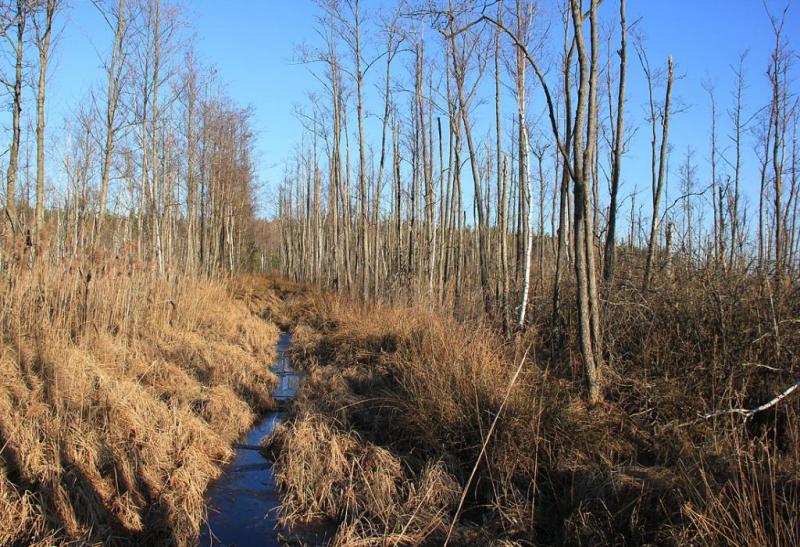 yjtshdrgsdtgf.thumb.jpg.de0ee42ec10d7d46