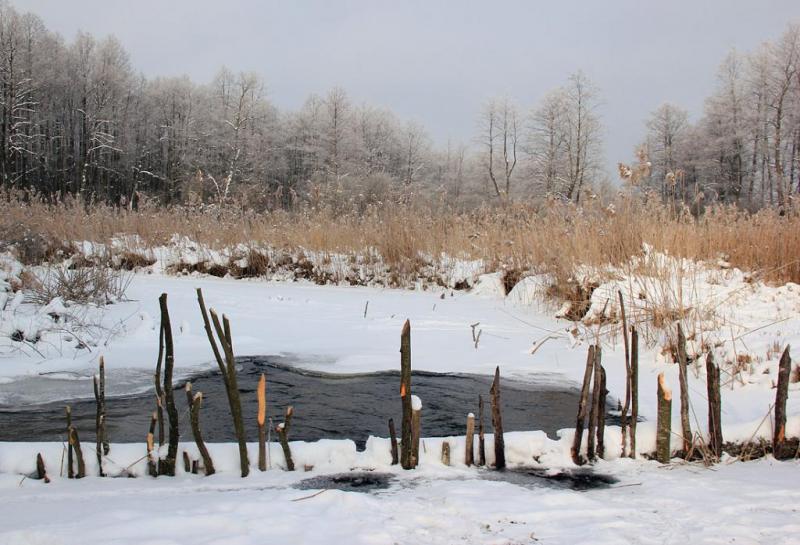 yktyjdrhxrt.thumb.jpg.ed889822003e41dfd8