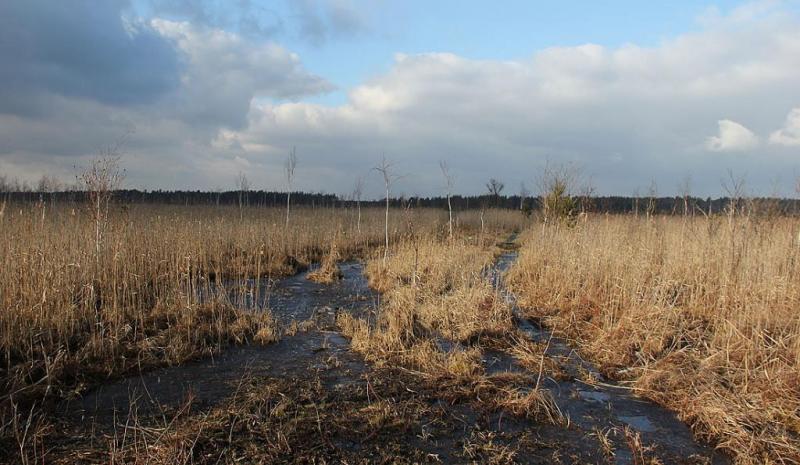 yujfzsdfdtrgty.thumb.jpg.acf3e059fd57e68