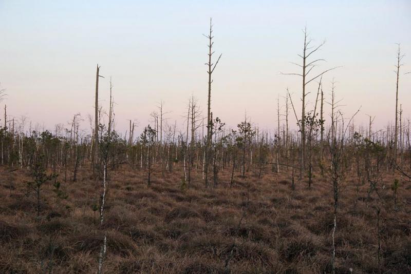 yukdgsssssssgf.thumb.jpg.4b2f2250b40b8a0