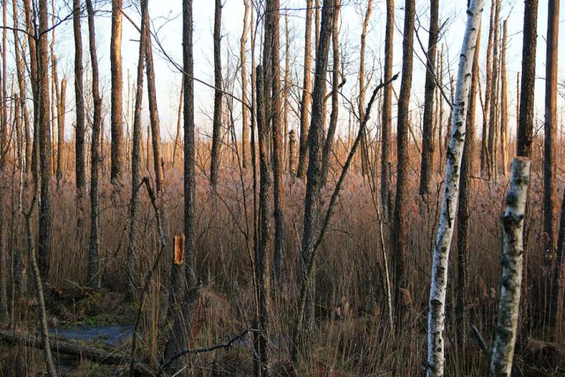 yukgsfeawww.thumb.jpg.cd730eb6ae28093fa9