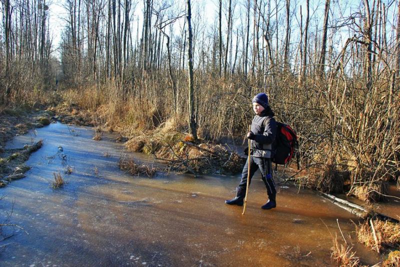 yukhdsfxsfd.thumb.jpg.df6addb8609cc1372e