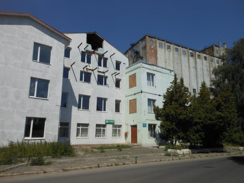 1.thumb.jpg.53ca6559087927fc8a1ae5886485