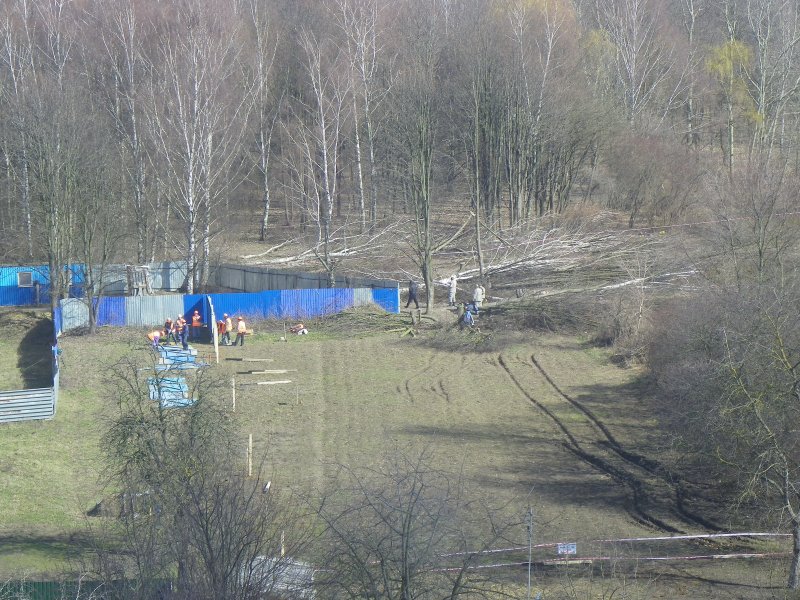 100_8512.thumb.JPG.552e50d0a804777d12413