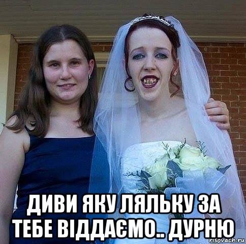 12417768_182554325460582_594211550643385