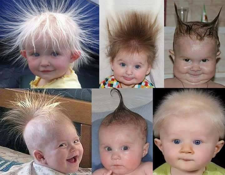 12742461_958831134198646_415318299230678