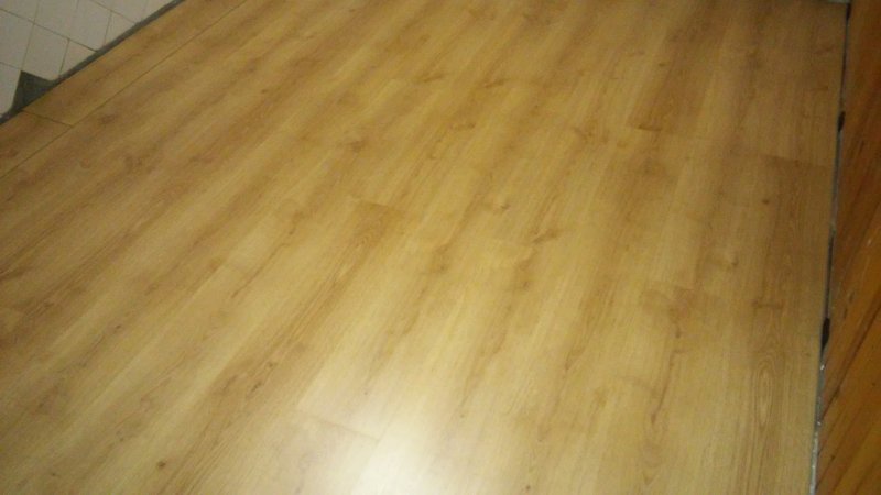 20141030_003709.thumb.jpg.968cba85af8f95