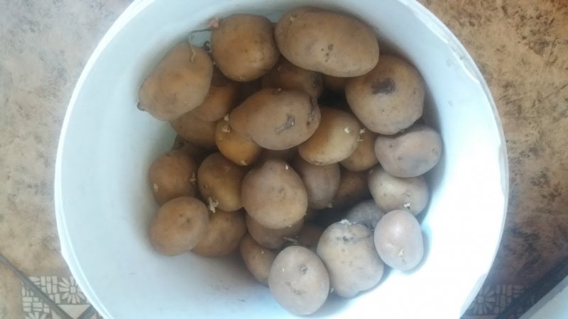 56e9715d593cd_.thumb.jpg.7d99b24208aca6d