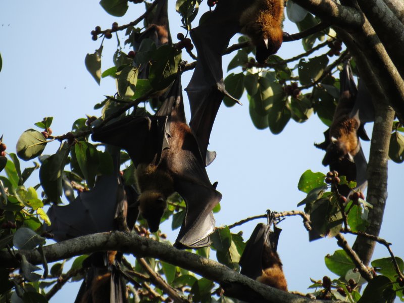 587.thumb.jpg.01cd9bcc86c46ea7dbd0fd3602