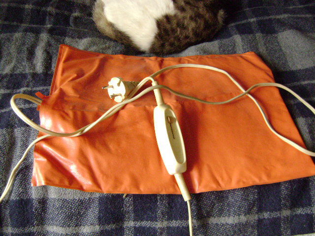 DSC03299.JPG.0d7da6069e537afc05505dd1d3b