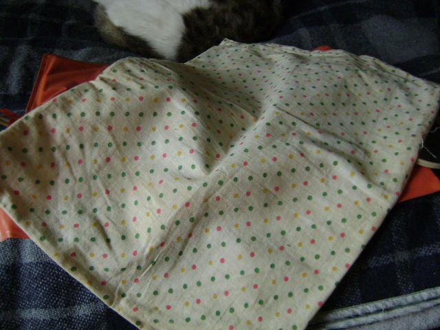 DSC03300.JPG.27e32371c0e2f70c76e4495b0b9