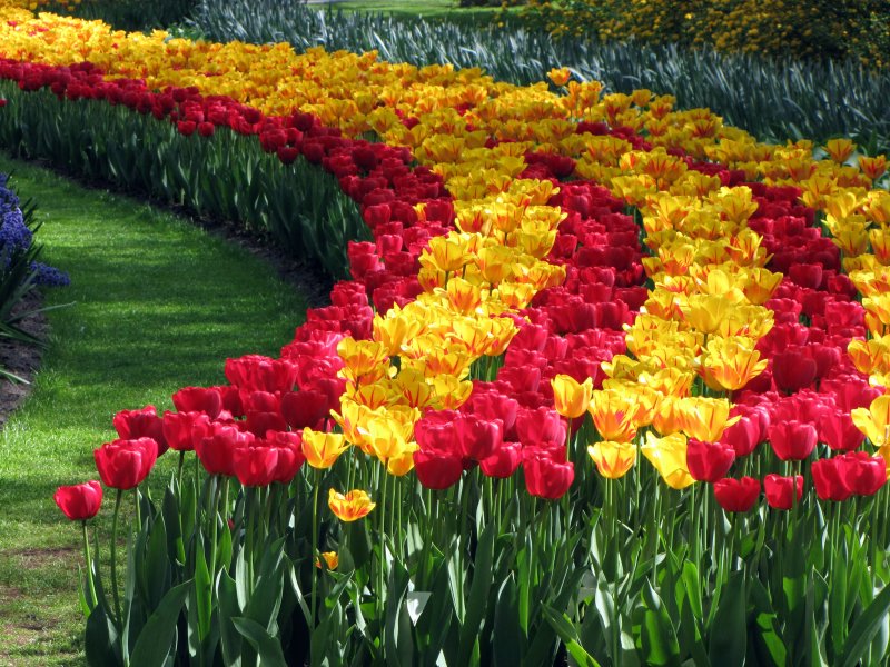 IMG_0807.thumb.JPG.c314f7777c546d6e85e11