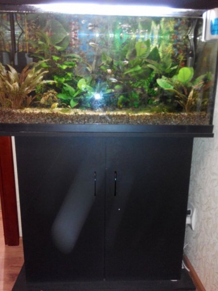 IMG_20160212_202819.thumb.jpg.b1c7265c7d