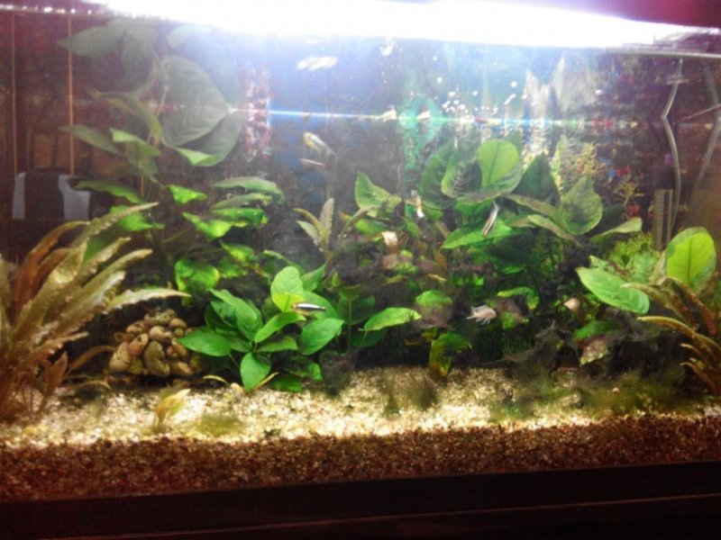 IMG_20160212_202850.thumb.jpg.99a1829ca4