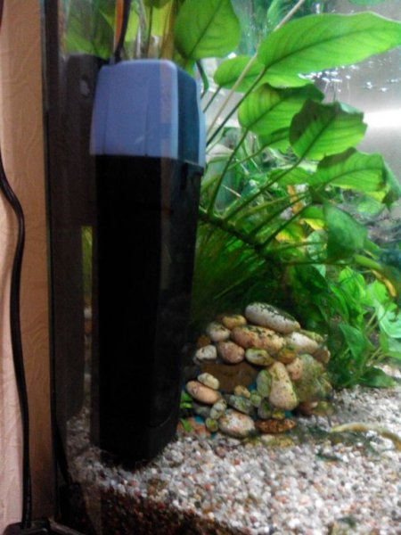 IMG_20160212_202930.thumb.jpg.e830d27940