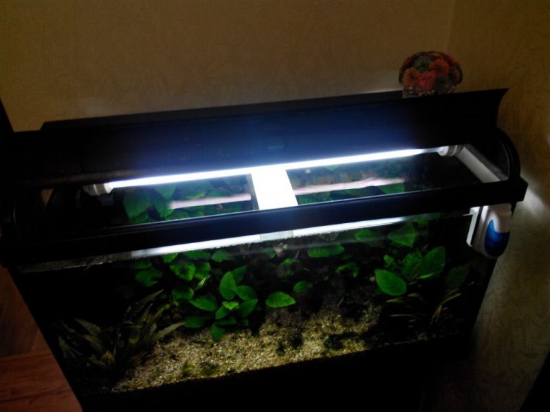 IMG_20160212_203133.thumb.jpg.dea6ecbdb5