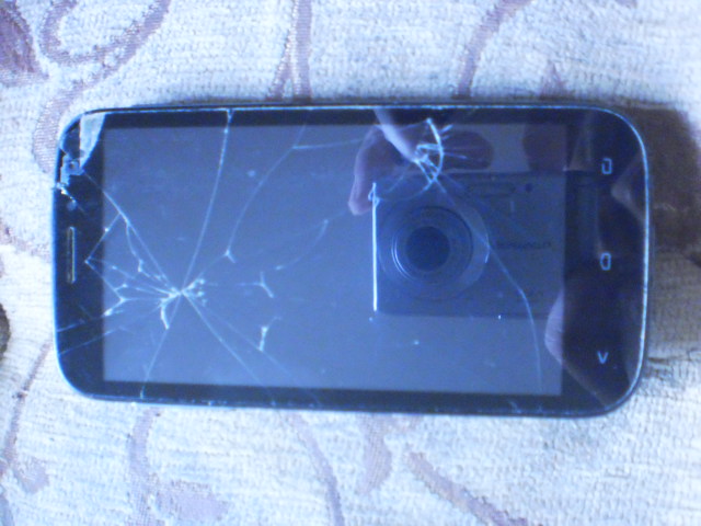 P3100006.JPG.515a610bd8a1118685a9ef07343