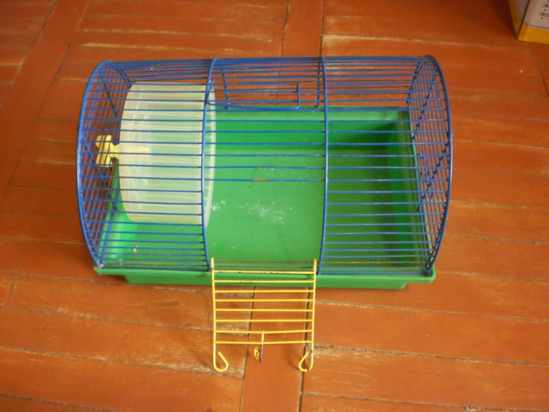 P3110021.thumb.JPG.09f91d76a63167c570dd7