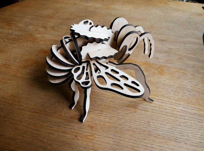 P60228-140305-002.jpg.77a32473cd5846d451