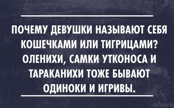 VZ_cD_c5eJg.jpg.12689f0d27d97a97675741e7