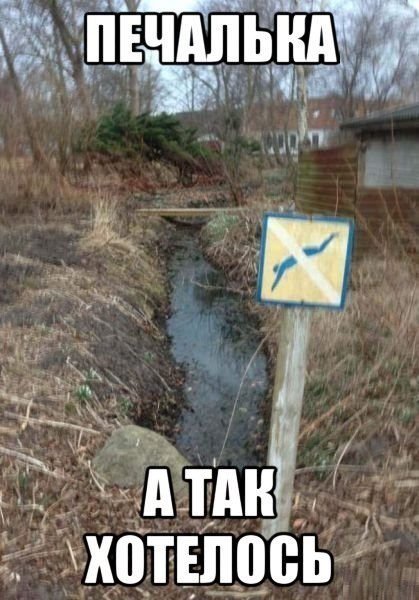 W6Kp5QwSoMI.jpg.024ba5f0d512cc4b622ad737