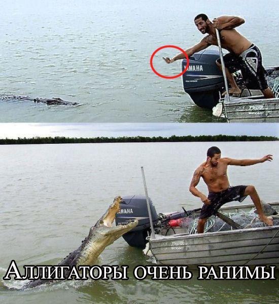 WHcg3_95VJg.jpg.ae13dde09be79f8b49ad3567