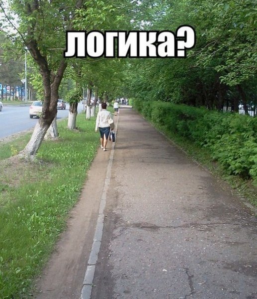 WjuKTnDkl9M.thumb.jpg.f106eddc387745f3b4