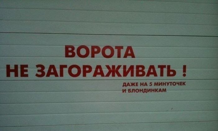 vX4LvCfxPu8.jpg.33c30324069a0de89e66f68f