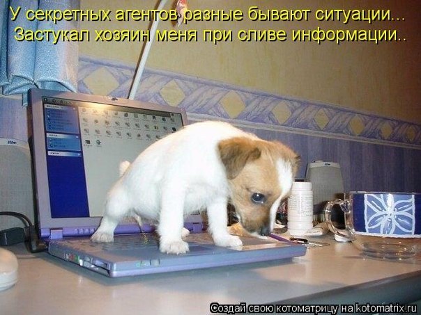 vYL87Gcwdl0.jpg.01e9eb68b9e6bd4758195ae1