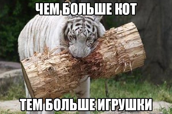 wHukRrxOju0.jpg.be17f697dc006fd6d05fa354