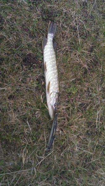 2016-04-01 09.46.00.jpg