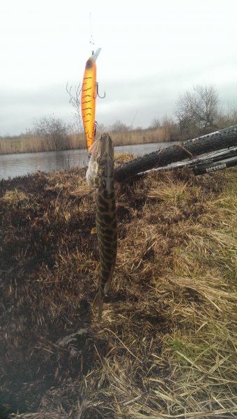 2016-04-01 11.08.02.jpg