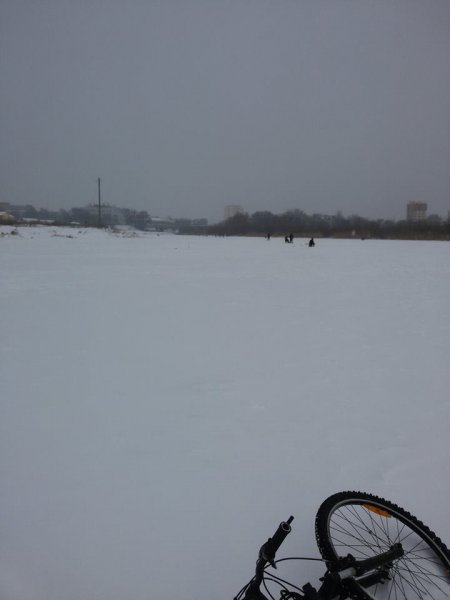 12524058_876477359134919_3286634127164055933_n (1).jpg