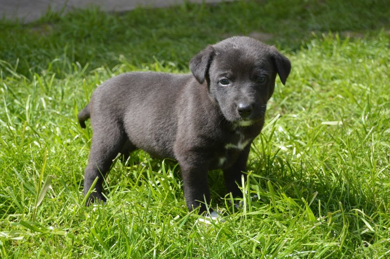 2 хлопчик1.jpg