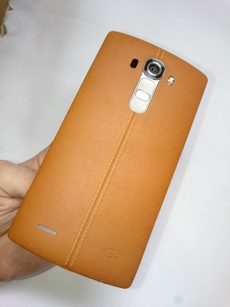 DSC_0029 (Копировать).JPG