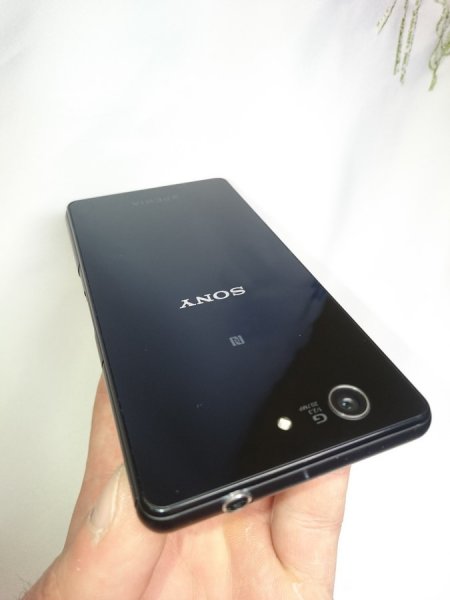 DSC_0061 (Копировать).JPG